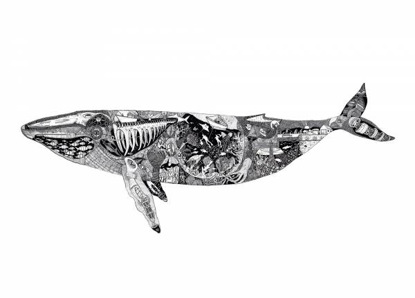 Christo Du Toit - Whale - 71 x 96 cm (1)