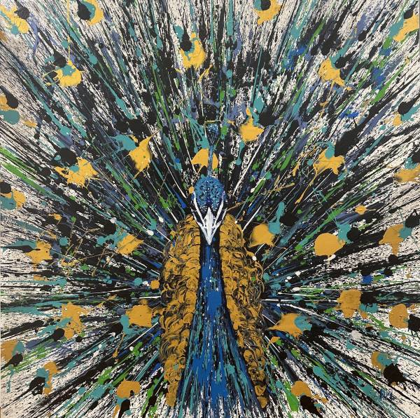 Darren McKay- Peacock- 120x120